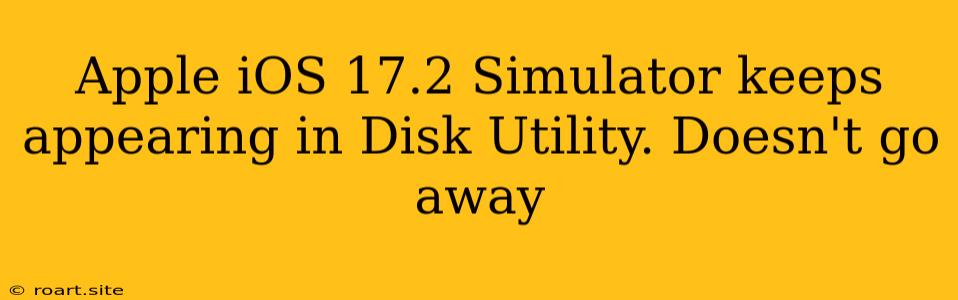 Apple IOS 17.2 Simulator Keeps Appearing In Disk Utility. Doesn't Go Away