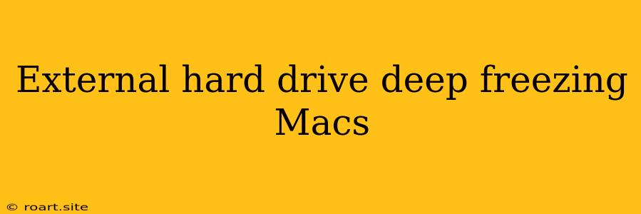 External Hard Drive Deep Freezing Macs