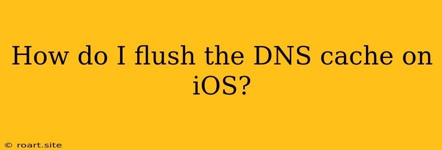 How Do I Flush The DNS Cache On IOS?