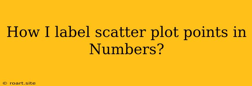 How I Label Scatter Plot Points In Numbers?