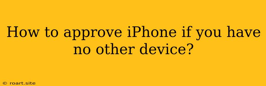 How To Approve IPhone If You Have No Other Device?