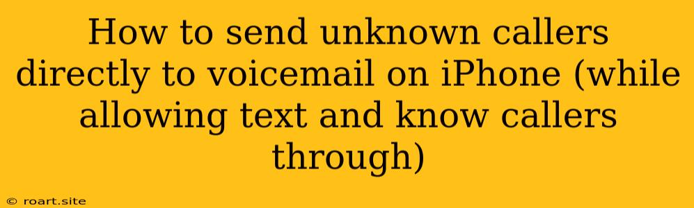 How To Send Unknown Callers Directly To Voicemail On IPhone (while Allowing Text And Know Callers Through)