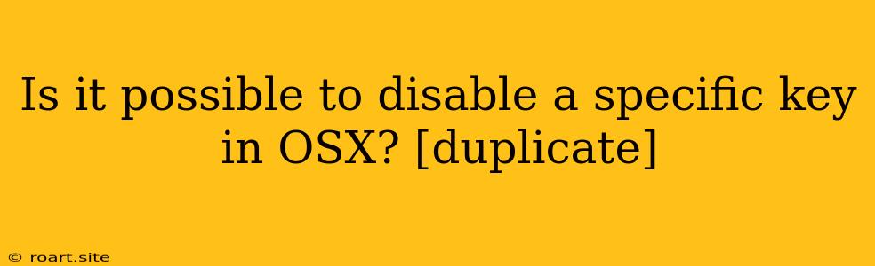 Is It Possible To Disable A Specific Key In OSX? [duplicate]