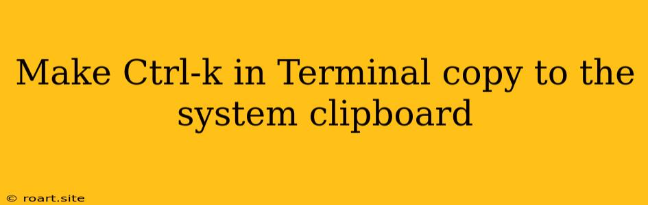 Make Ctrl-k In Terminal Copy To The System Clipboard