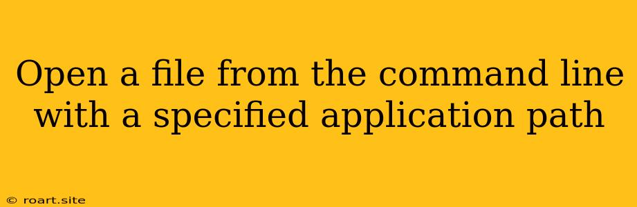 Open A File From The Command Line With A Specified Application Path