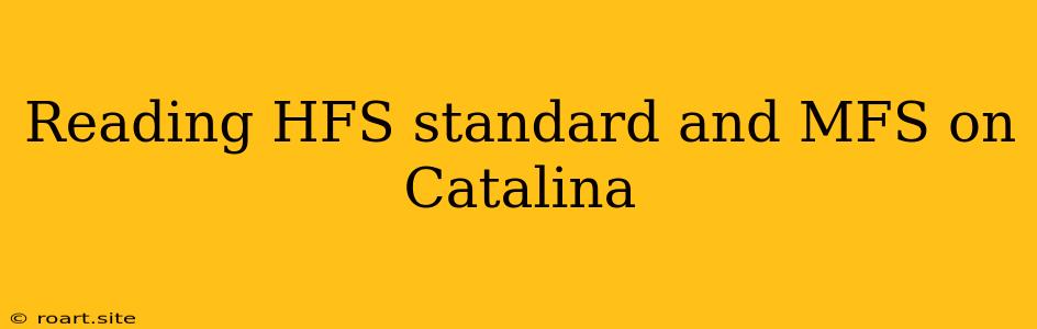 Reading HFS Standard And MFS On Catalina